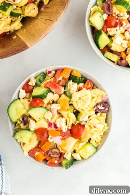 Zesty Greek Tortellini Pasta Salad 5 Close-up of Greek Tortellini Pasta Salad with fresh vegetables.