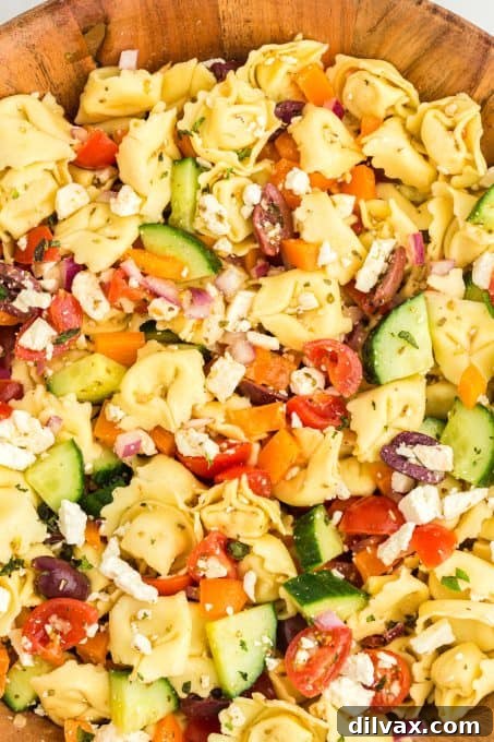 Zesty Greek Tortellini Pasta Salad 7 Cheese tortellini in a veggie salad with a tangy Greek dressing.