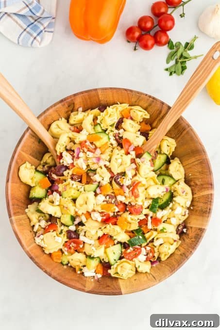 Zesty Greek Tortellini Pasta Salad 8 Overhead view of a vibrant Greek pasta salad with various vegetables.