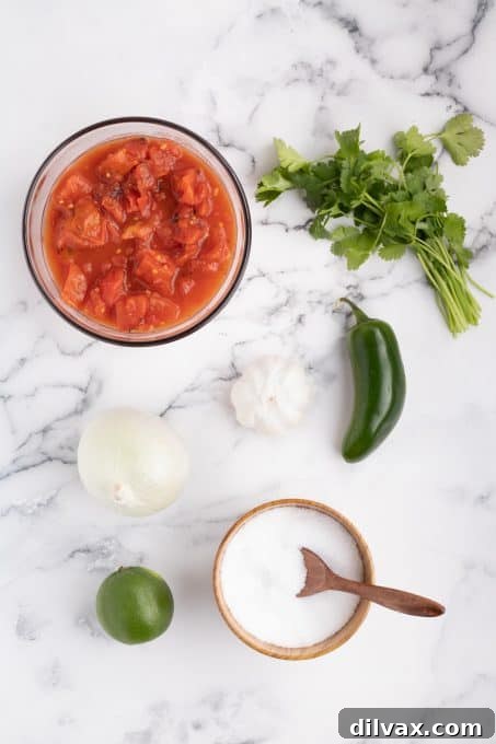 Lightning-Fast Homemade Salsa 4 Ingredients for Easy Salsa Recipe