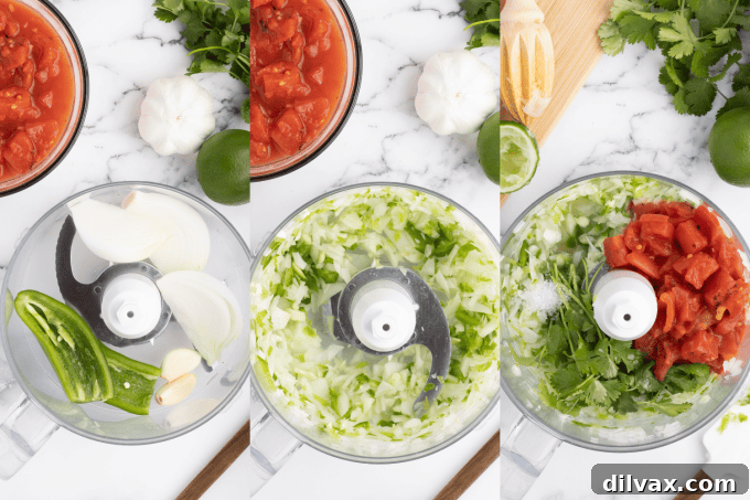 Lightning-Fast Homemade Salsa 5 Process photos for Easy Salsa Recipe