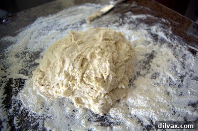 Kneaded flatbread dough in an oiled bowl for its first rise