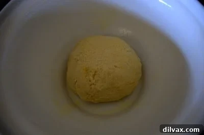 Dough in an oiled bowl, ready for its first rise