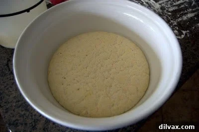 Dough doubled in size after the first rise