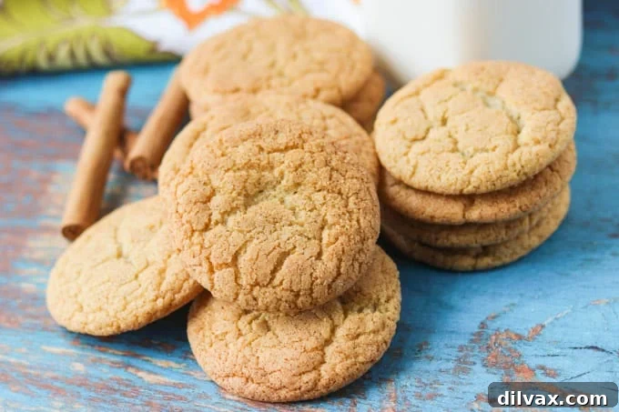 Delicious Chai Snickerdoodles perfectly spiced for autumn.