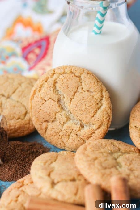 Chai Snickerdoodle Cookies, a unique twist on a classic dessert.