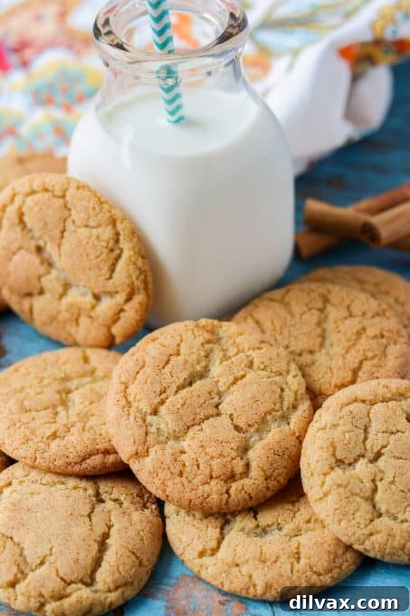 Freshly baked Chai Spiced Cookies on a cooling rack.