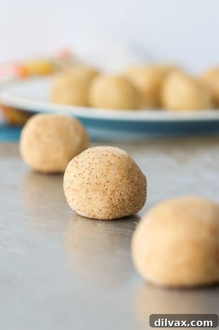 Balls of Chai Snickerdoodle cookie dough rolled in cinnamon sugar.