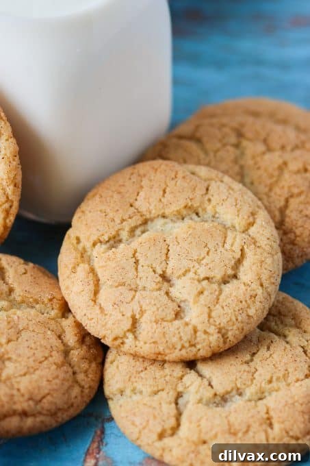 A plate of freshly baked Chai Snickerdoodles.