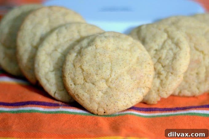 The classic Snickerdoodle Cookie with the great taste of Chai.
