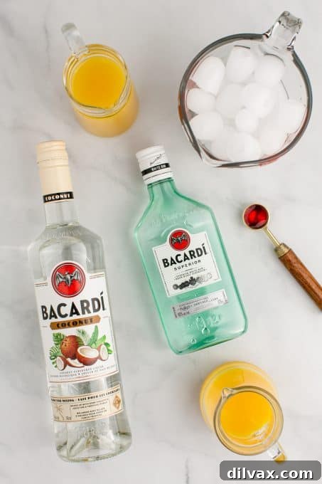 Tropical Empress 4 Ingredients for a Bahama Mama