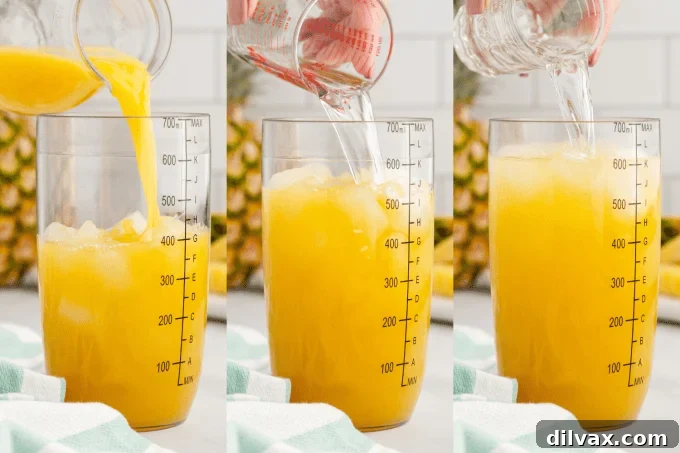 Tropical Empress 6 Process Shots for making a Bahama Mama cocktail.