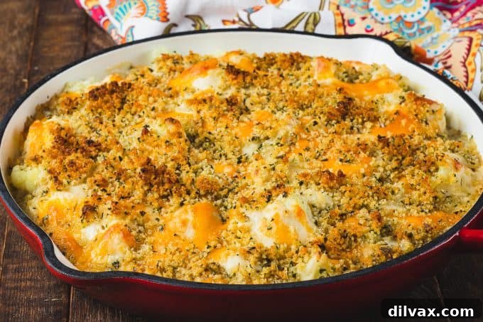 Baked cheesy cauliflower gratin, golden brown and bubbling.