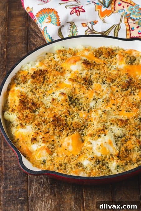 Golden Baked Cheesy Cauliflower 8 A serving of creamy, cheesy cauliflower gratin in a white bowl, ready to be enjoyed.