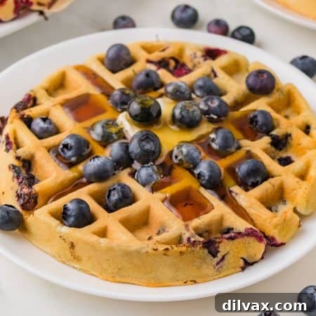 Blueberry Waffles