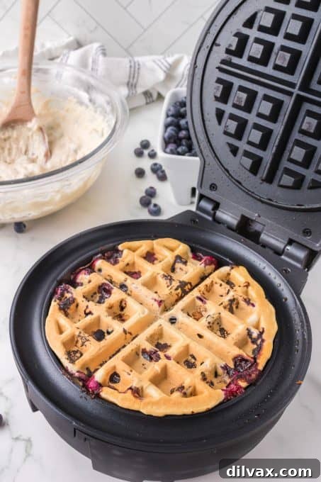 A blueberry waffle cooking to golden perfection in a waffle iron.