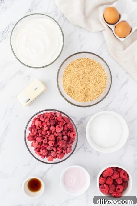 Petite Raspberry Cheesecakes 4 Ingredients for Mini Raspberry Cheesecakes laid out on a table