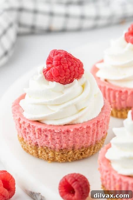Mini cheesecakes with raspberry flavor.