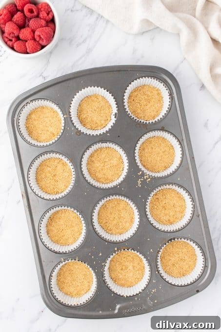 Crust for mini cheesecakes.