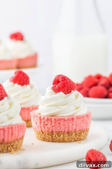 Petite Raspberry Cheesecakes 9 Ingredients for raspberry cheesecakes: raspberries, cheesecake filling, graham cracker crust crumbs