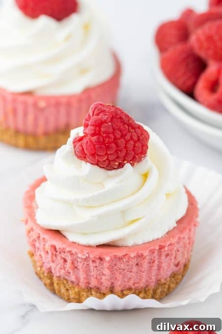 Bite-sized raspberry cheesecakes