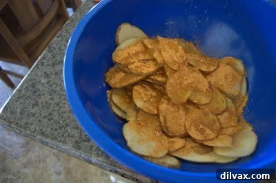 Crispy Baked Taco Potato Chips with Fresh Chili-Cilantro Dip 5 Potato slices being tossed with olive oil and taco seasoning