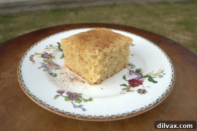 Delightful Eggless Vanilla Cardamom Cake 2 Freshly baked Eggless Vanilla Cardamom Cake cooling on a wire rack
