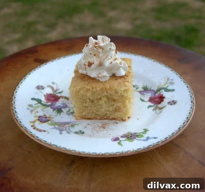 Delightful Eggless Vanilla Cardamom Cake 11 A slice of Eggless Vanilla Cardamom Cake with a fork, ready to eat