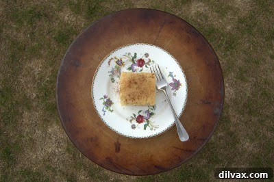Delightful Eggless Vanilla Cardamom Cake 3 Parchment paper properly lined in a baking dish