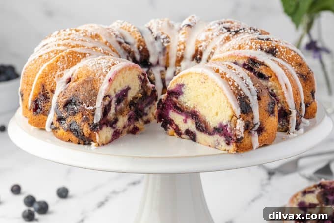 Blueberry Sour Cream Coffee Cake with Crumb Topping 2 Blueberry Sour Cream Coffee Cake