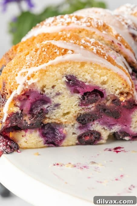 Blueberry Sour Cream Coffee Cake with Crumb Topping 12 Blueberry Sour Cream Coffee Cake