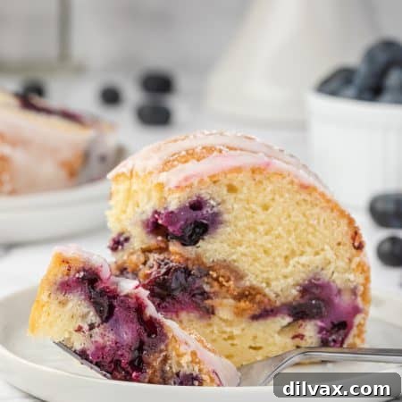 Blueberry Sour Cream Coffee Cake with Crumb Topping 13 Blueberry Sour Cream Coffee Cake