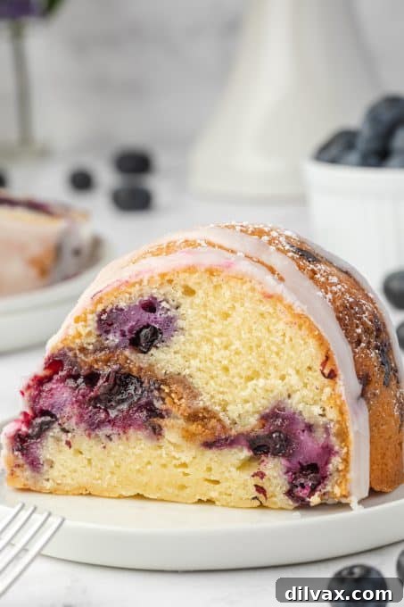 Blueberry Sour Cream Coffee Cake with Crumb Topping 3 Blueberry Sour Cream Coffee Cake