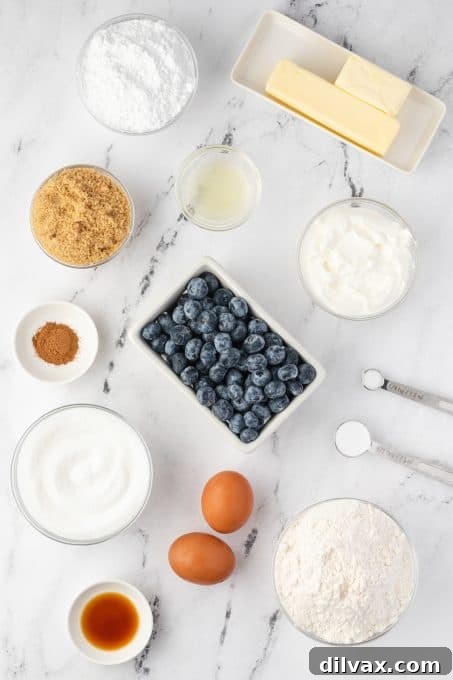 Blueberry Sour Cream Coffee Cake with Crumb Topping 4 Ingredients for a Blueberry Sour Cream Coffee Cake