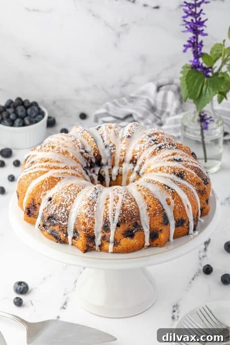 Blueberry Sour Cream Coffee Cake with Crumb Topping 5 A sour cream coffee cake with blueberries.