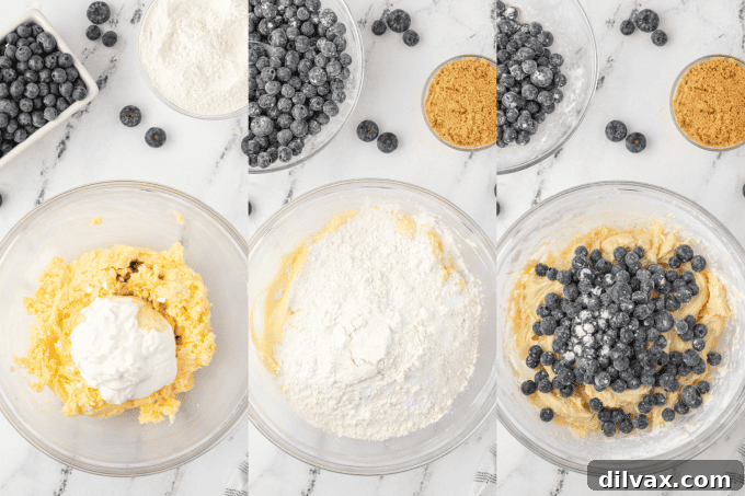 Blueberry Sour Cream Coffee Cake with Crumb Topping 6 1st set of process photos for a Blueberry Sour Cream Coffee Cake