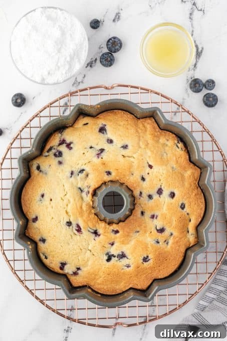 Blueberry Sour Cream Coffee Cake with Crumb Topping 8 Blueberry coffee cake fresh from the oven.