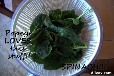 Mediterranean Roasted Vegetable Spinach and Feta Pizza 7 Spinach wilting in a hot skillet with minced garlic and olive oil