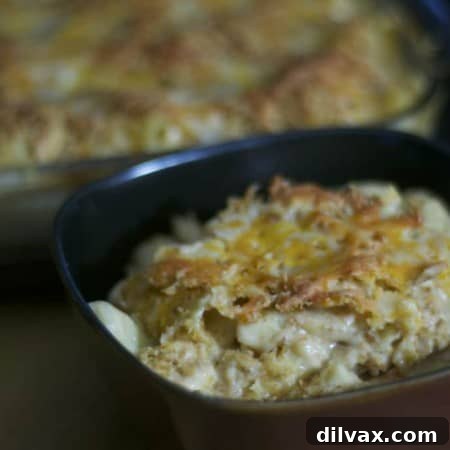 Barbecue Chicken Rigatoni and Cheese dish, ready to be served.