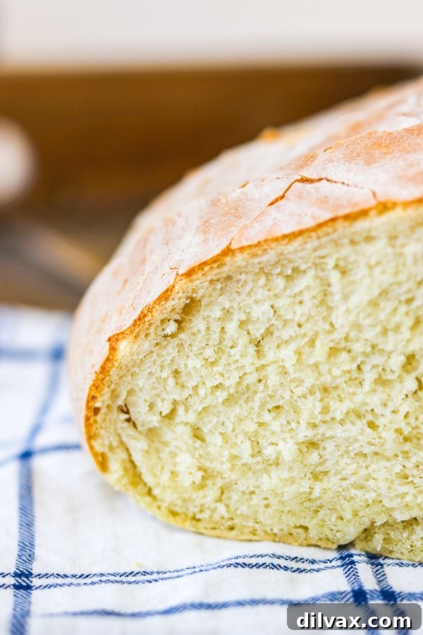 Artisan Italian Loaves 13 A rustic loaf of Grandma's Italian Bread, showcasing its beautiful crust.