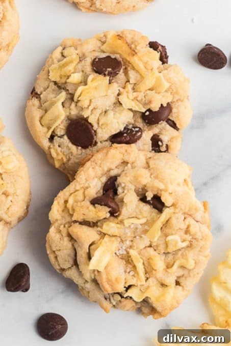 Crispy Salty Sweet Chocolate Chip Cookies 3 Delicious potato chip cookies with generous chocolate chips.