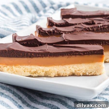 Golden Layered Indulgence 12 Millionaire Bars