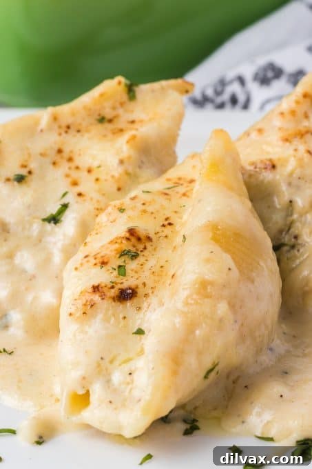 Chicken Alfredo Stuffed Shells served in a bowl.