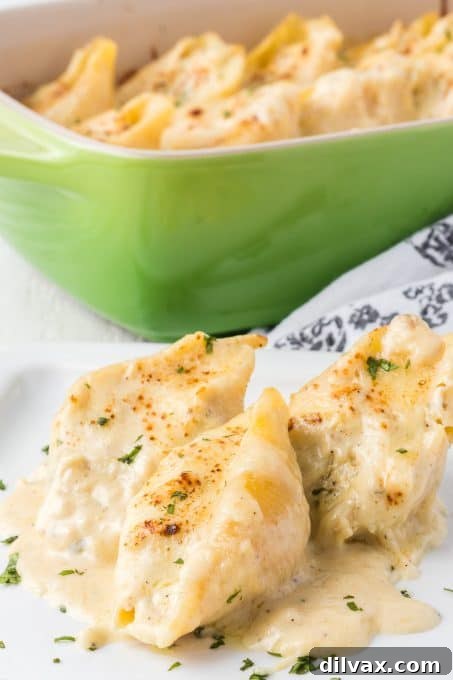 Pasta shells stuffed with chicken and cheese and baked in a garlic Alfredo sauce, garnished with parsley.