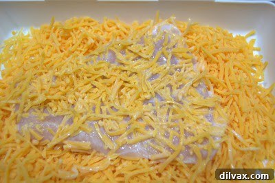 Crispy Cheddar Chicken Day 319 4 A chicken piece being coated thoroughly with shredded cheddar cheese.