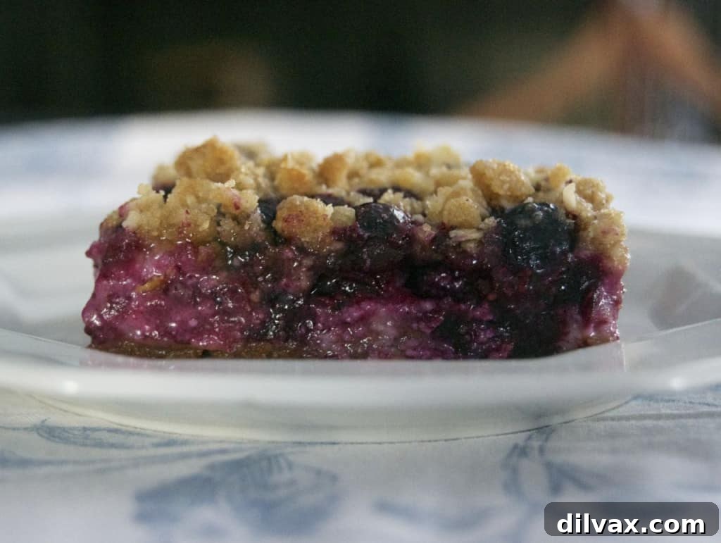 Close-up of Blueberry Lemon Cheesecake Bars displaying the vibrant blueberry layer beneath the streusel