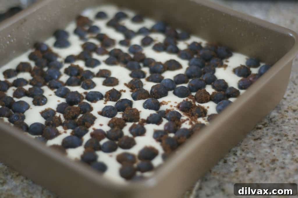 An array of Blueberry Lemon Cheesecake Bars arranged on a serving plate, ready to be enjoyed