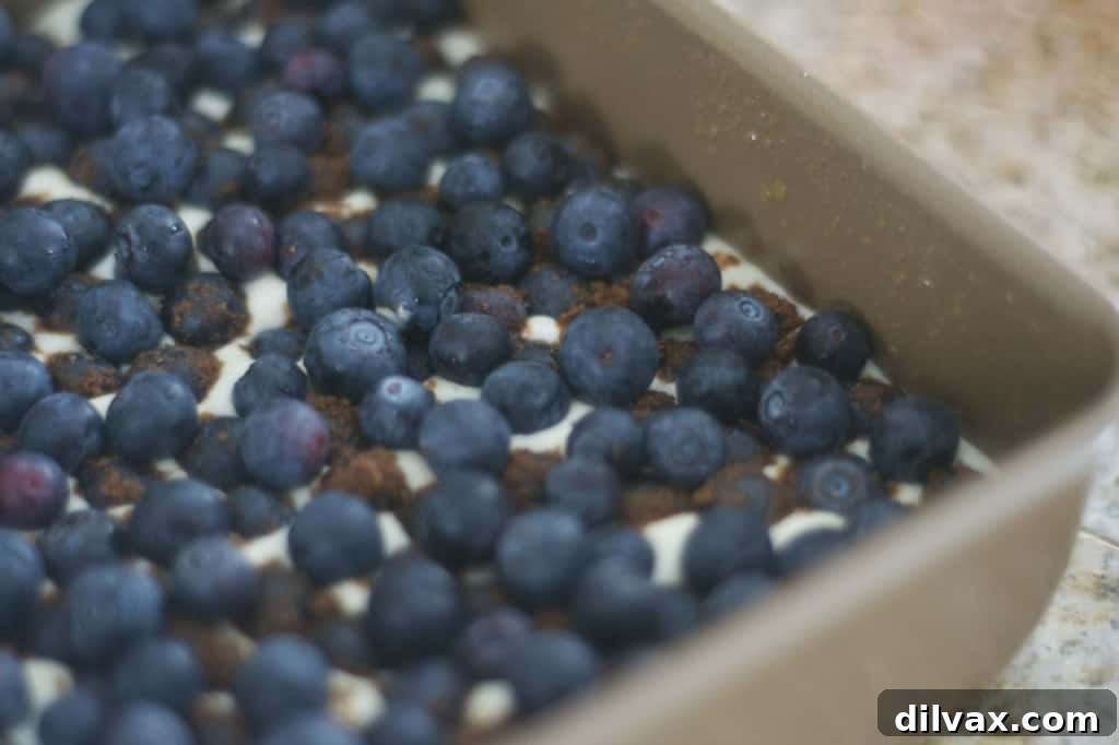 Four delightful Blueberry Lemon Cheesecake Bars showcased, highlighting their thick layers and crumbly streusel