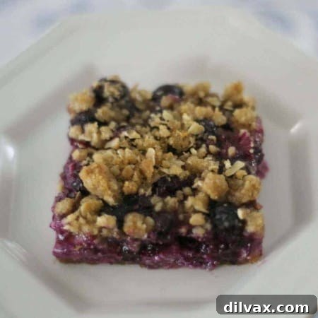 A perfectly baked Blueberry Lemon Cheesecake Bar, ready to be sliced and served.