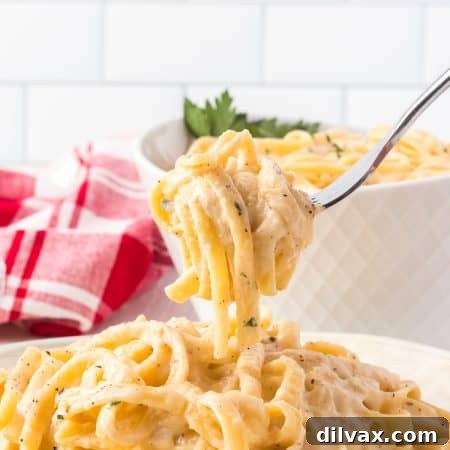 A spoonful of Fettuccine Alfredo.